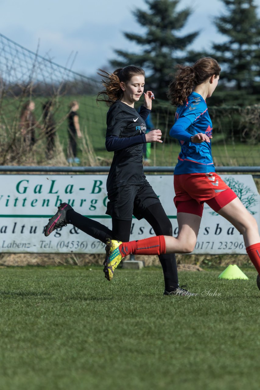 Bild 208 - C-Juniorinnen SV Steinhorst/Labenz - TSV Friedrichsberg-Busdorf : Ergebnis: 5:0